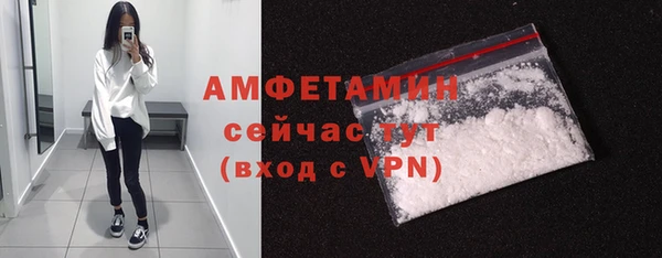 молекула духа Сатка