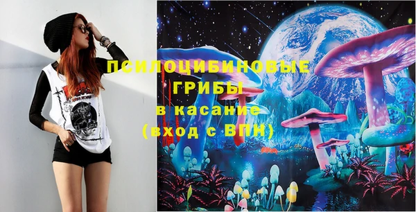 спиды Алексеевка
