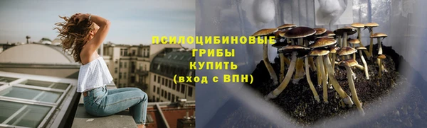 спиды Алексеевка