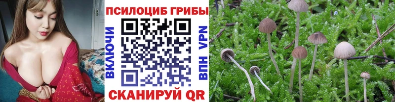 Псилоцибиновые грибы GOLDEN TEACHER Лобня